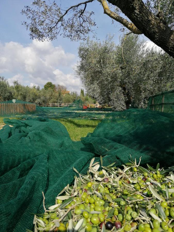 Il Podere Di Sole Roccastrada Extérieur photo