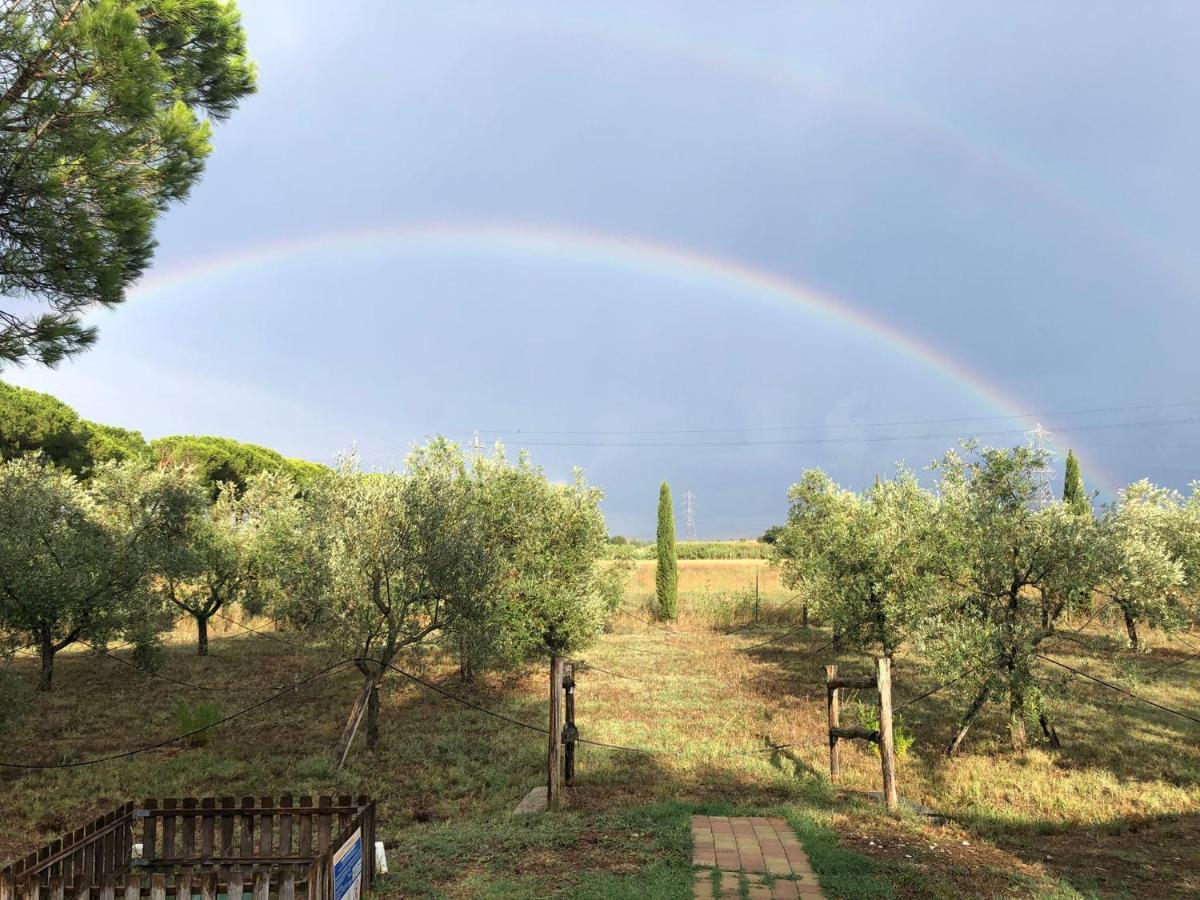 Il Podere Di Sole Roccastrada Extérieur photo